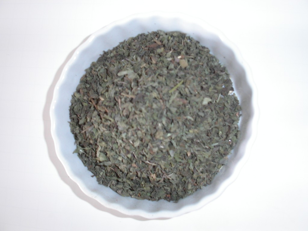 MINOLTA DIGITAL CAMERA