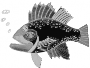 Snappy-Rockfish-300x228